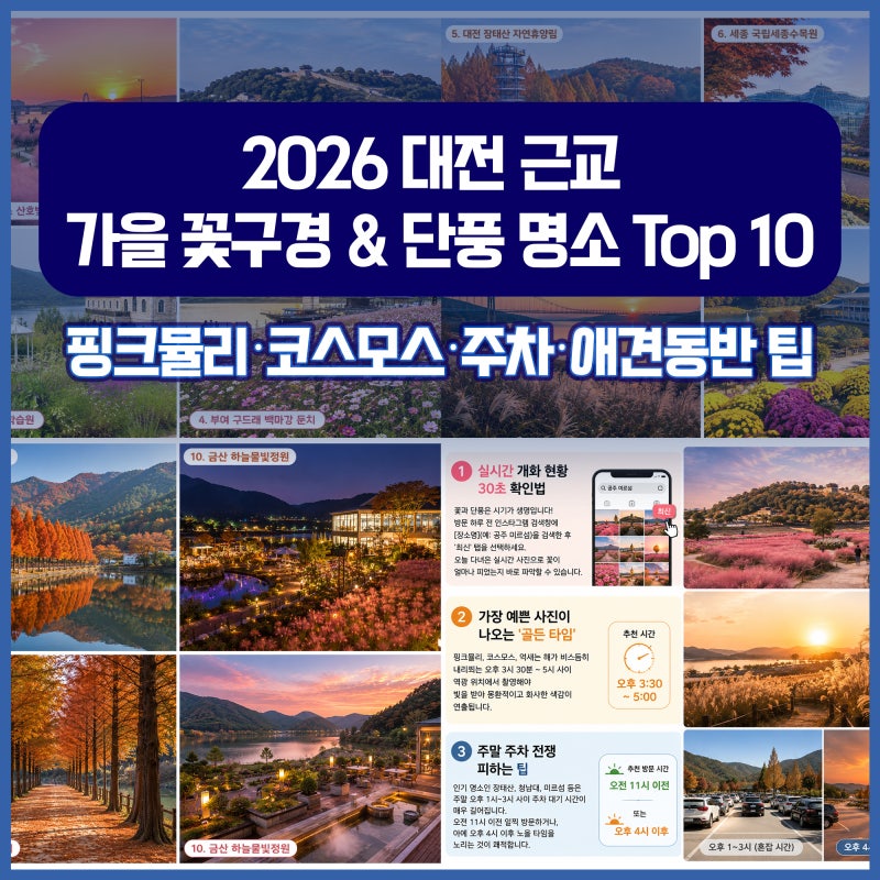 2026 대전 근교 가을 꽃구경 & 단풍 명소 Top 10 (핑크뮬리·코스모스·주차·애견동반 팁)