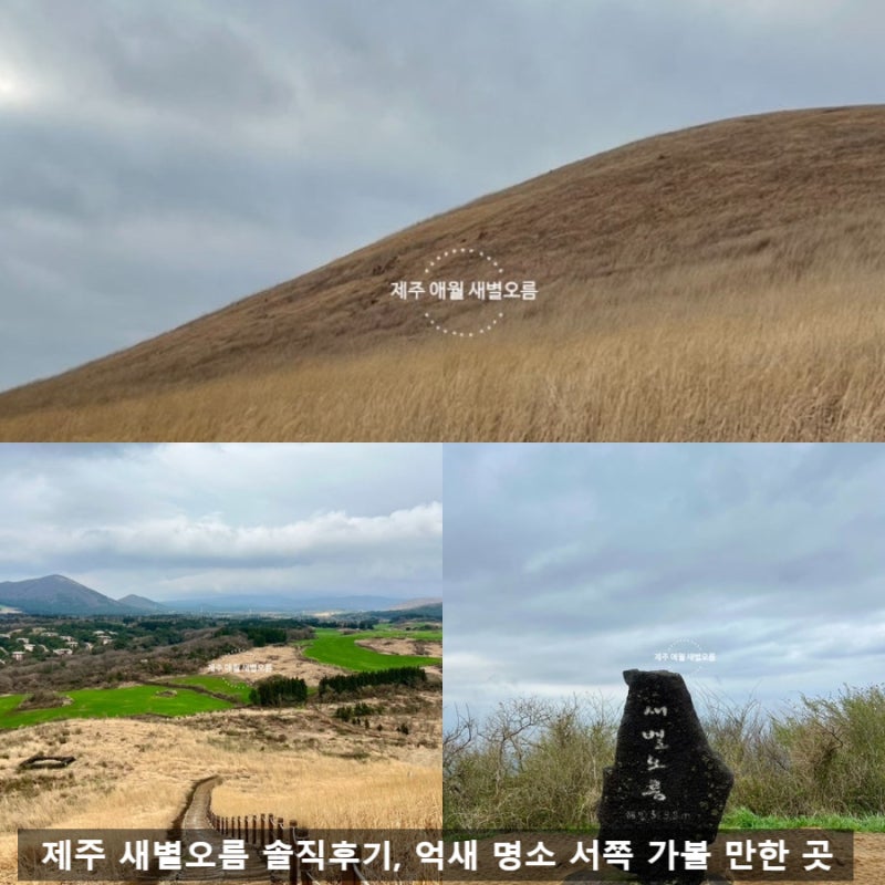 Jeju Oreum Recommendation: Saebyeol Oreum Honest Review - Tough Climb, but the Summit View is the Best