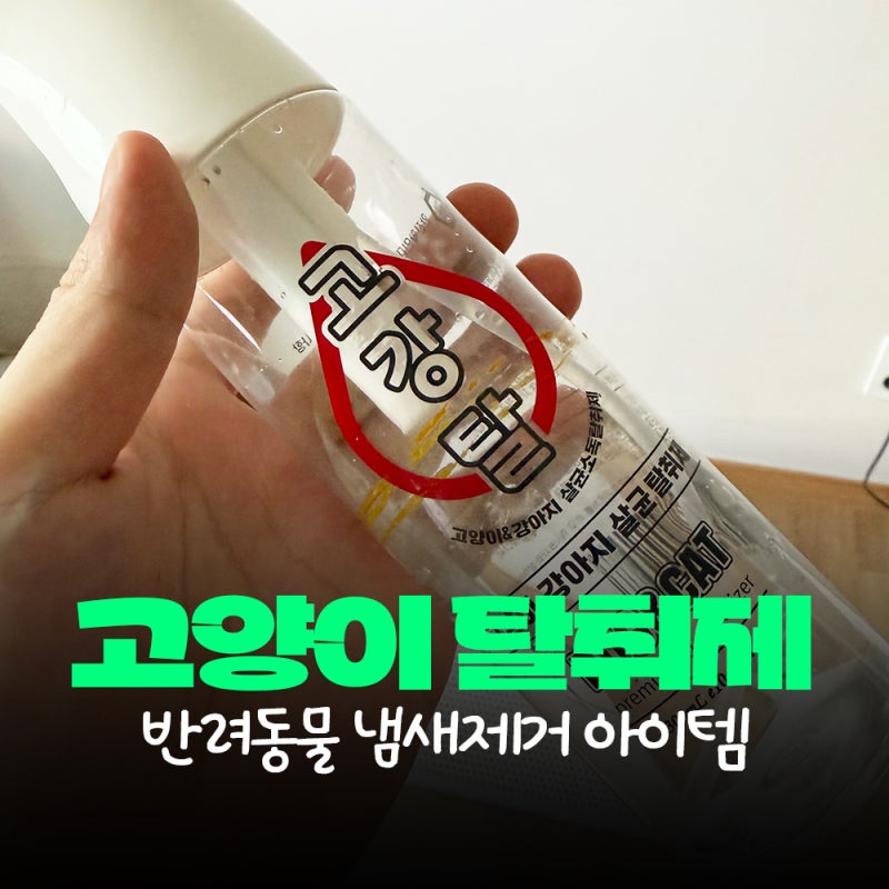 고양이 냄새제거 반려동물 탈취제 고강탈, 3묘 집사가 6년 사용한 후기