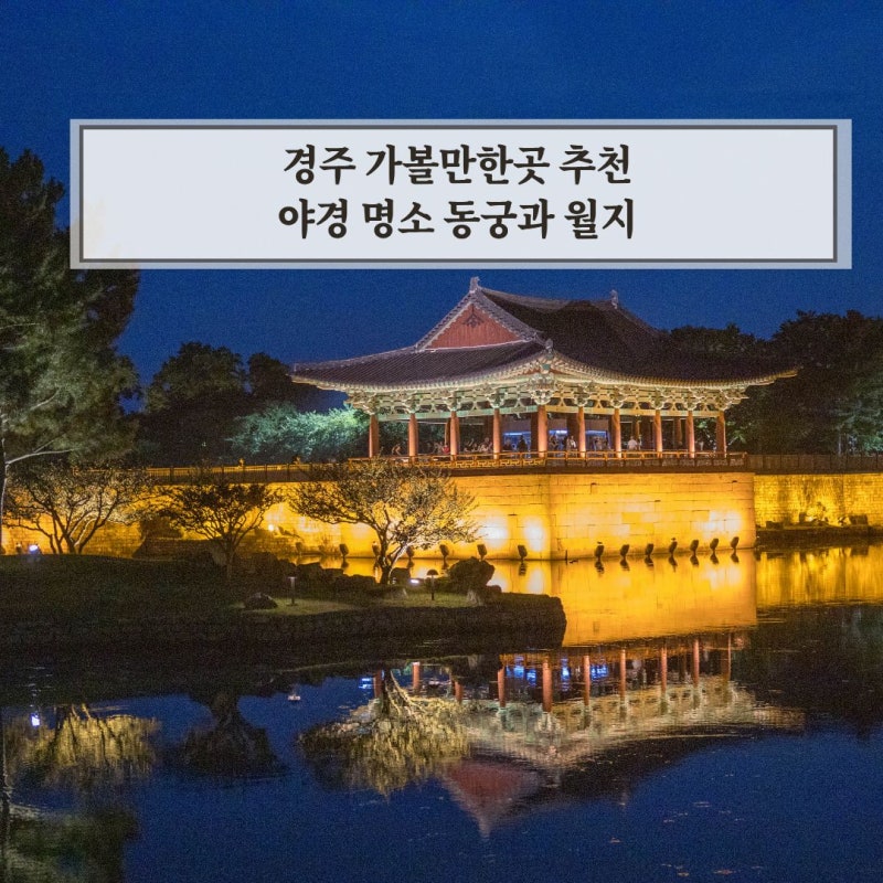 경주 가볼만한곳 추천 야경 명소 동궁과 월지 필독 후 방문하세요!