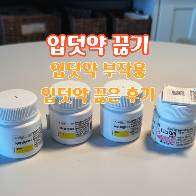 입덧약 끊기 부작용 한달간 끊어본 후기 과연 성공일까