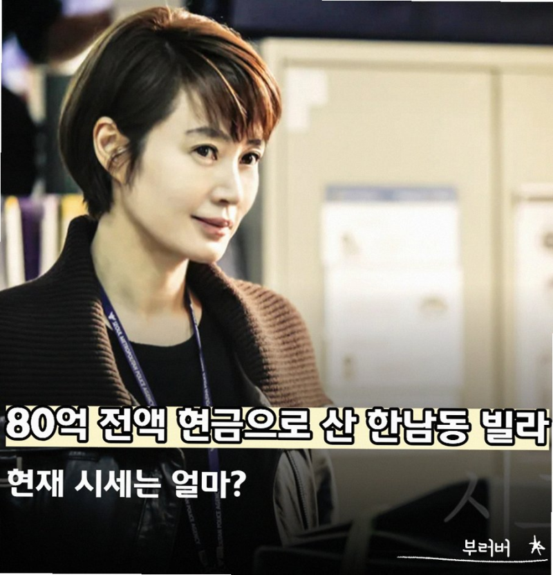 김혜수 한남동 빌라 80억 전액 현금 매입 120억 시세 폭등 비결
