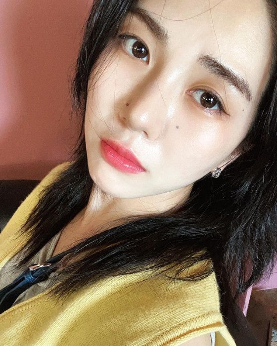 권민아 친언니 7~8억원 횡령 폭로의 진실, 프로필·과거 활동 내역부터 현재 상황까지
