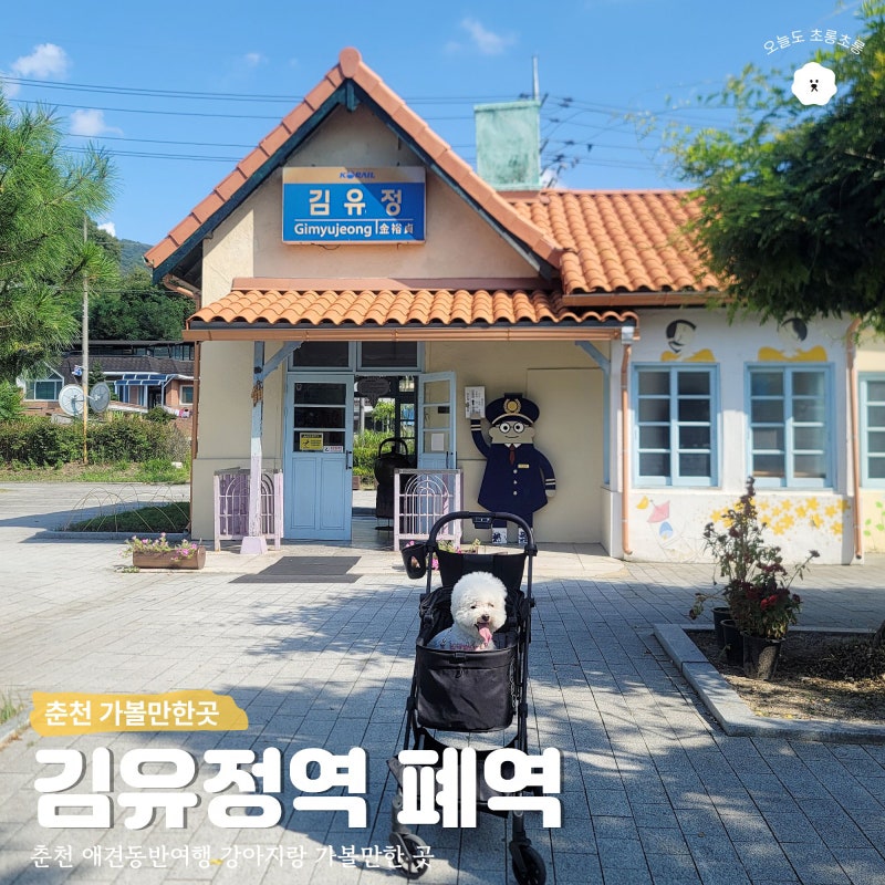 춘천 가볼만한곳 김유정역 폐역 애견동반 춘천여행