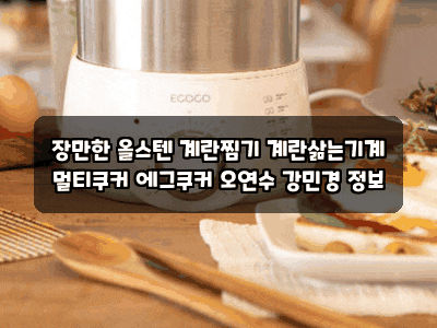 장만한 올스텐 계란찜기 계란삶는기계 멀티쿠커 에그쿠커 오연수 강민경 정보