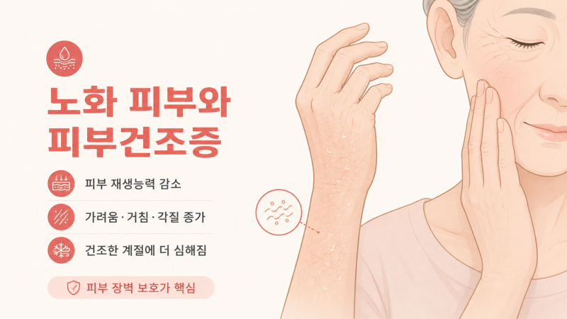 노인 피부건조증 관리법, 검버섯·흑자까지 피부 노화 예방하는 생활습관