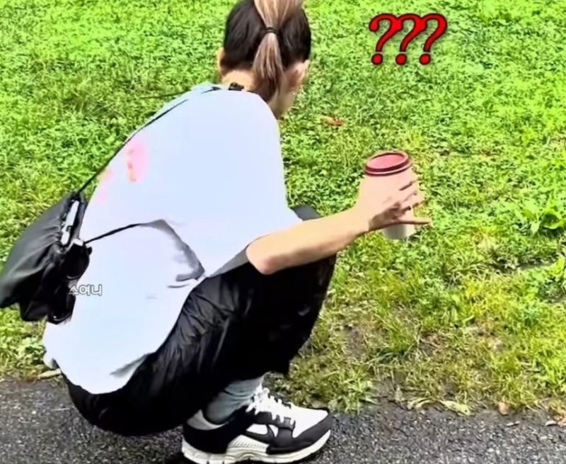 배우 정유미의 가성비 좋은 나이키 운동화 줌 보메로 5 예뻐요