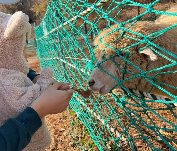 Top 4 Places to Visit with a Baby in Incheon
