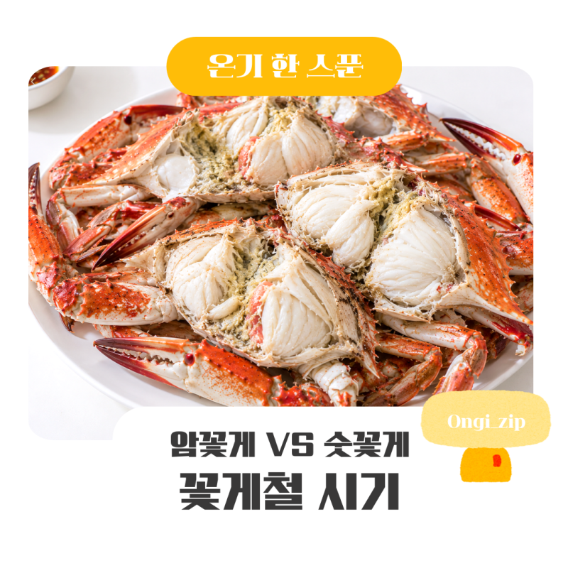 꽃게철 시기 9월부터 제철? 가을 숫꽃게 고르는 법