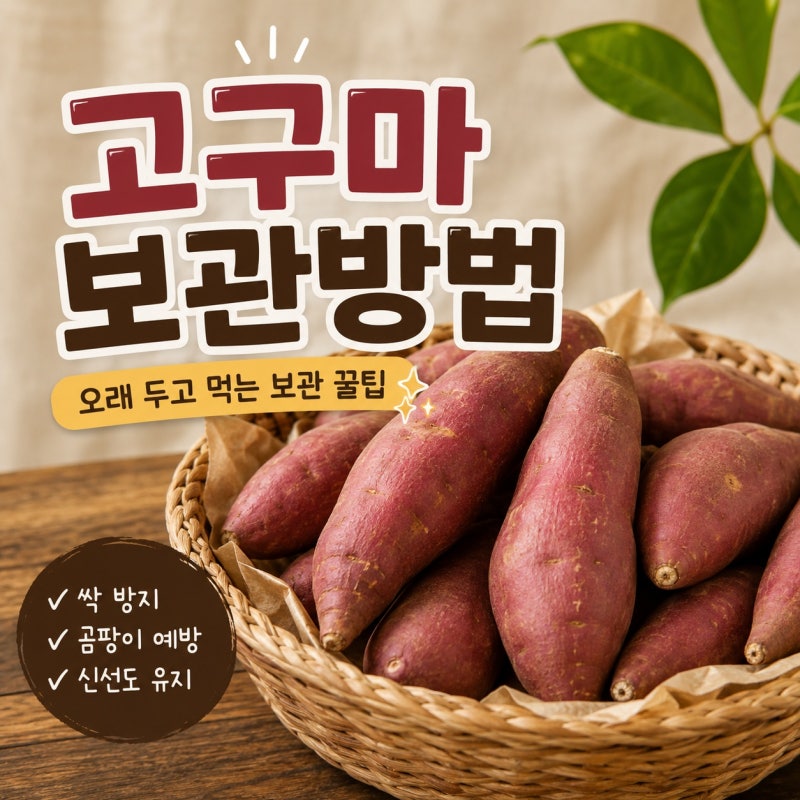 고구마 보관방법 오래 두고 먹는 실온 보관 꿀팁