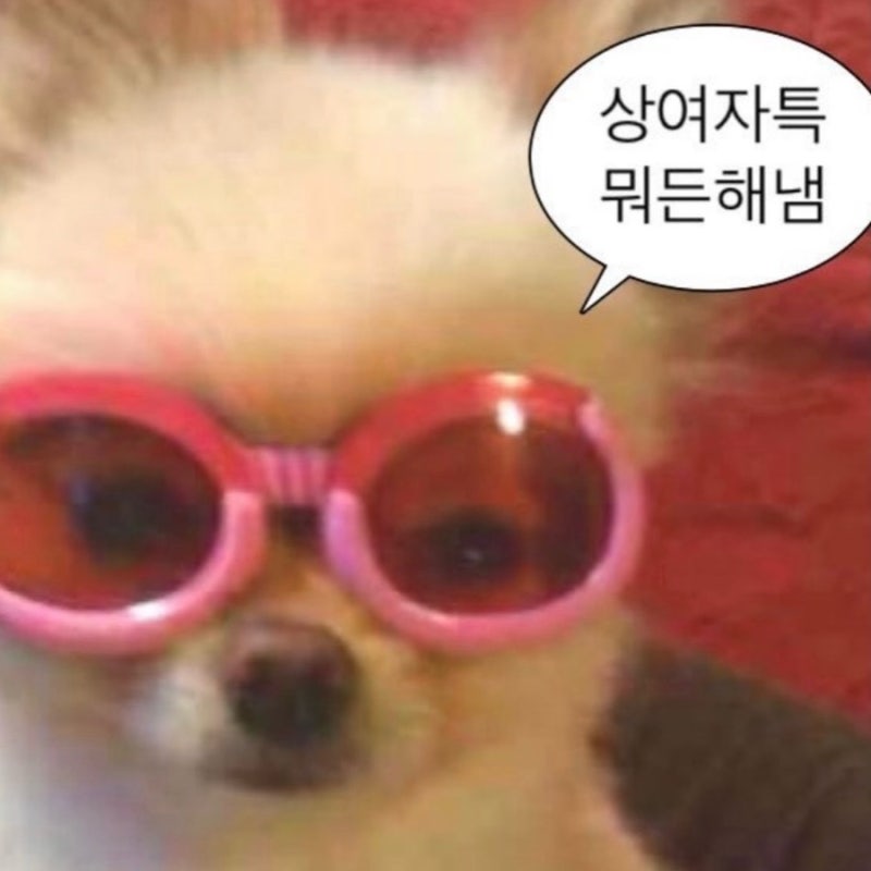 8월,