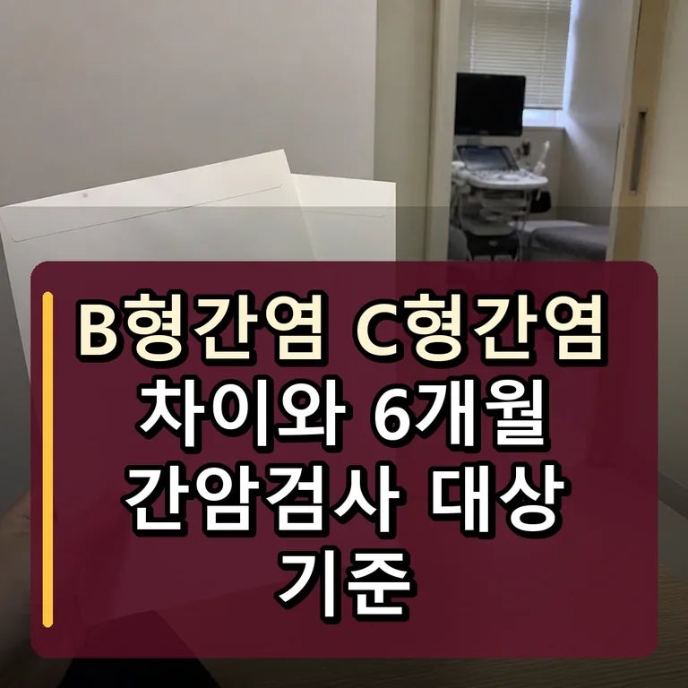 B형간염 C형간염 차이와 6개월 간암검사