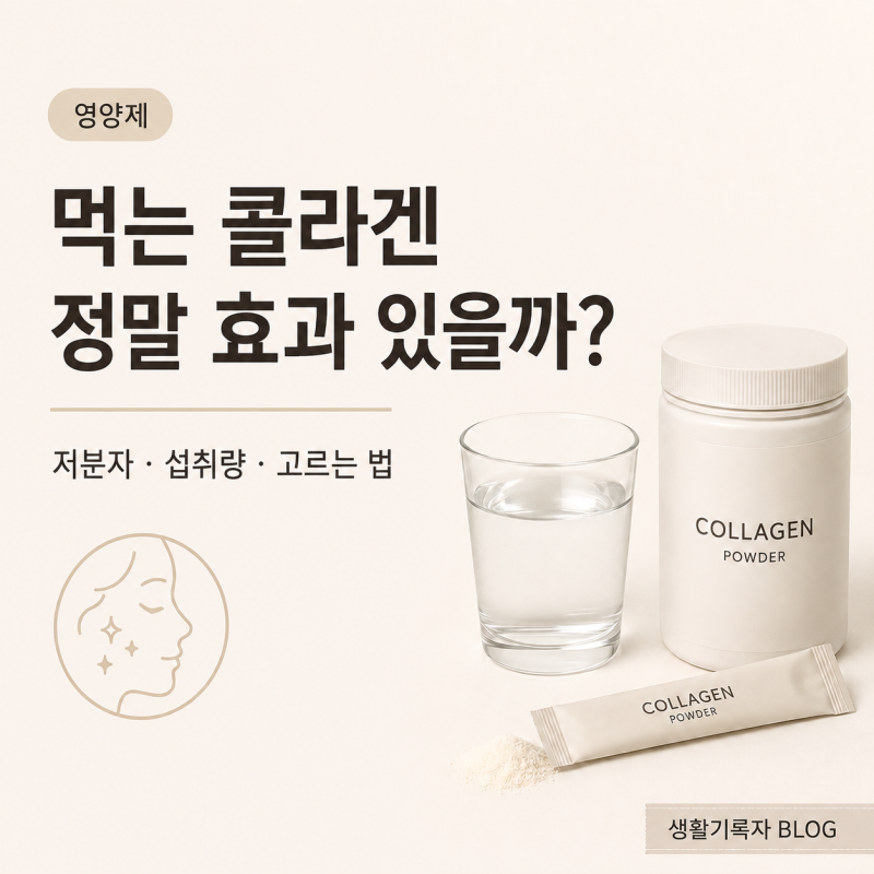먹는 콜라겐 정말 효과 있을까? 저분자 콜라겐 펩타이드·섭취량·고르는 법 정리