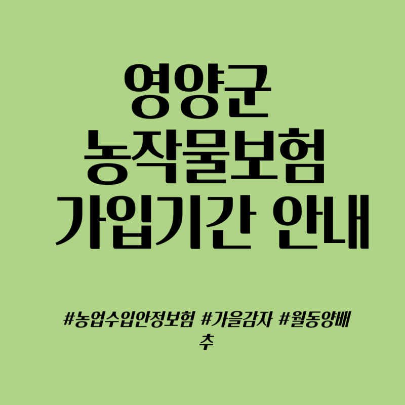 2026년 영양군 농작물재해보험 가입 안내 가을감자 월동양배추 가입기간 확인하세요