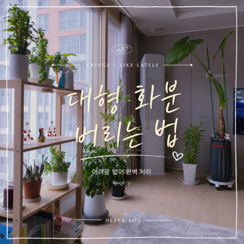 대형 화분 버리는 법 어려움 없이 완벽 처리하는 법