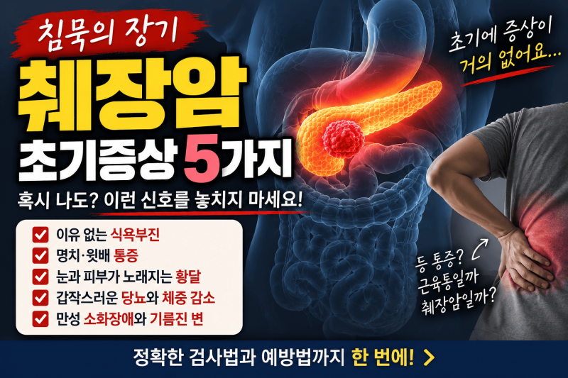췌장암 초기증상 │ 등 통증·황달·체중 감소·당뇨와 검사법