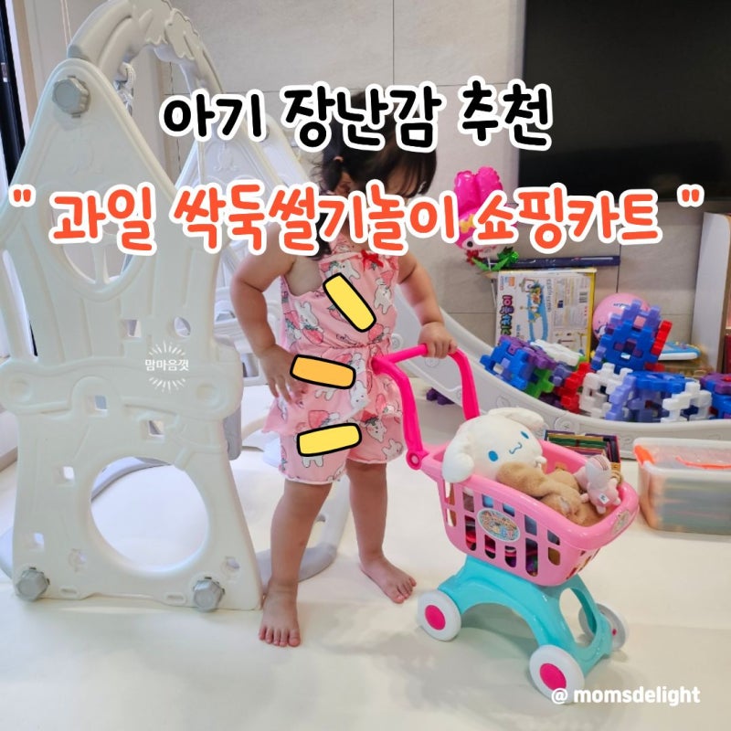 아기 과일 싹둑썰기놀이 쇼핑카트 장난감 추천