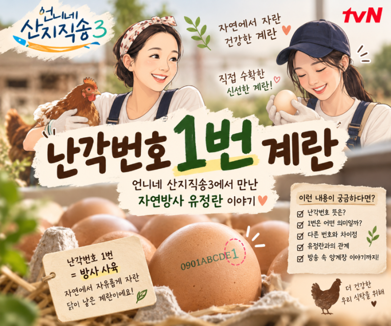 언니네 산지직송3 난각번호 1번 계란 뜻｜염정아·노윤서가 수거한 자연방사 유정란