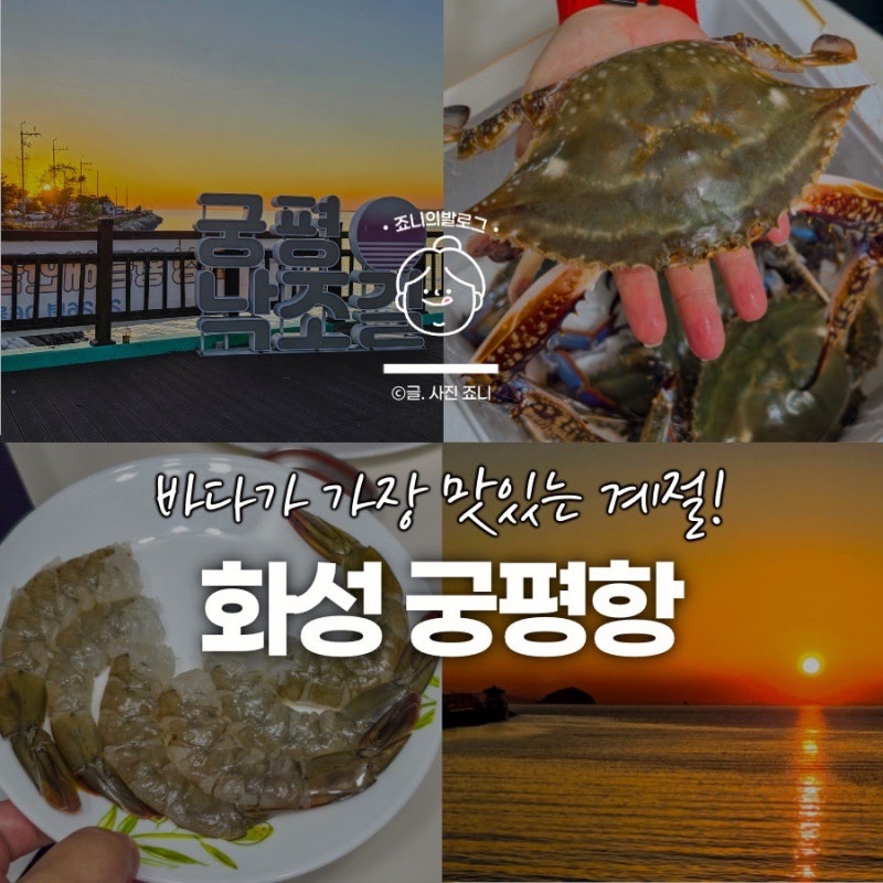 궁평항 수산물직판장 해오름수산시장 꽃게 새우 가격, 직접 사본 후기