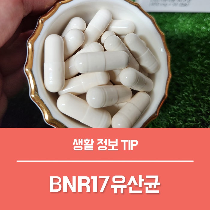 BNR17유산균 효능, 체지방 감량으로 주목받는 이유는?