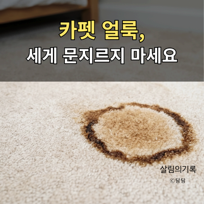 카펫 커피자국 지우는 법, 두 달 지난 얼룩 이렇게 옅어졌어요