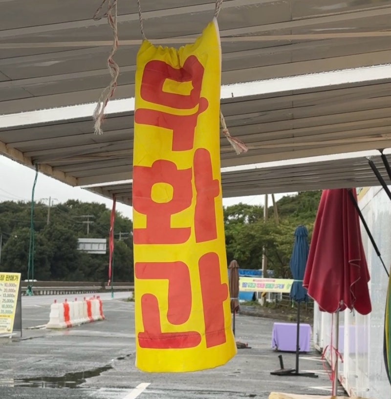 영암무화과직거래장터ㅣ영심이무화과에서 무화과 직접 사봤어요 영암무화과축제✨