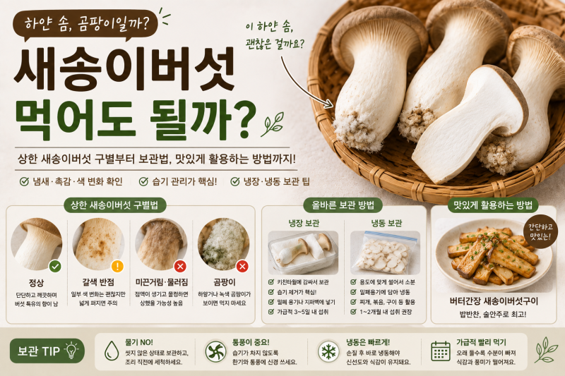 새송이버섯 하얀 솜 곰팡이일까? 갈색 반점과 상한 새송이버섯 구별, 오래 보관하는 법