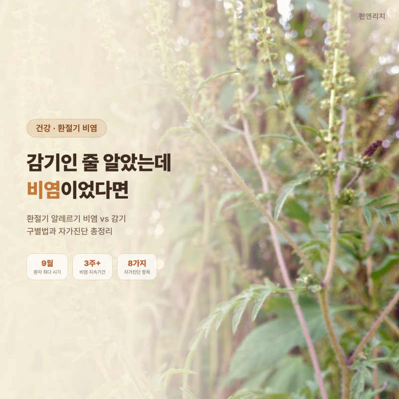환절기 알레르기 비염 감기 구별법, 이 증상이면 비염입니다