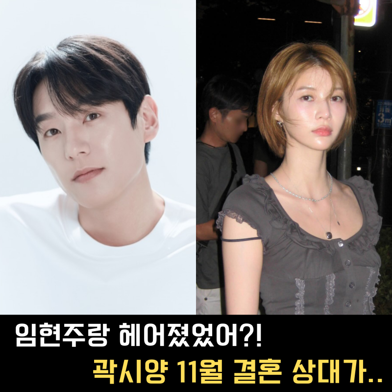 곽시양 임현주 언제 헤어졌지? 공개연애 끝난 뒤 유지애와 11월 결혼