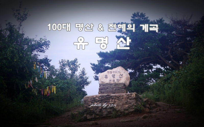 100대 명산 유명산자연휴양림코스 유명계곡 산행 & 야생화 탐화