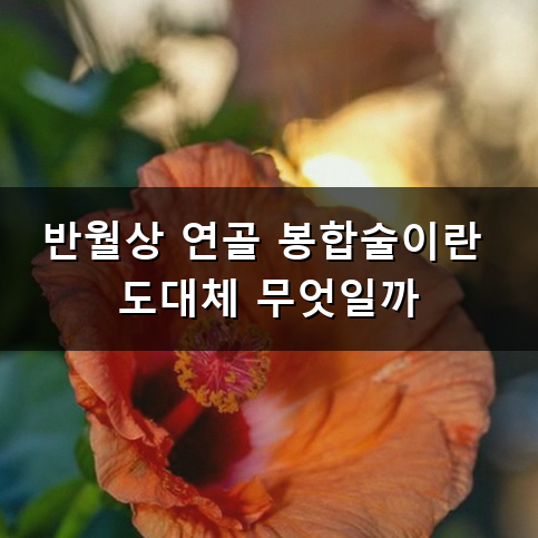 반월상 연골 봉합술 하고 나면 언제쯤 제대로 걸을 수 있을까