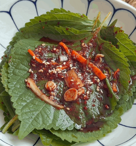 바로 먹는 깻잎김치 황금 레시피 50장 깻잎 양념장 만드는법