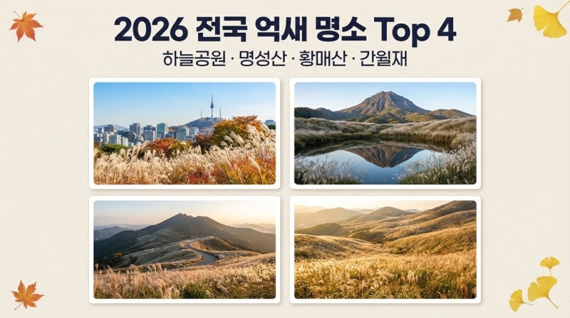 2026 전국 억새 명소 Top4 하늘공원 명성산 황매산 간월재 억새축제 일정 총정리