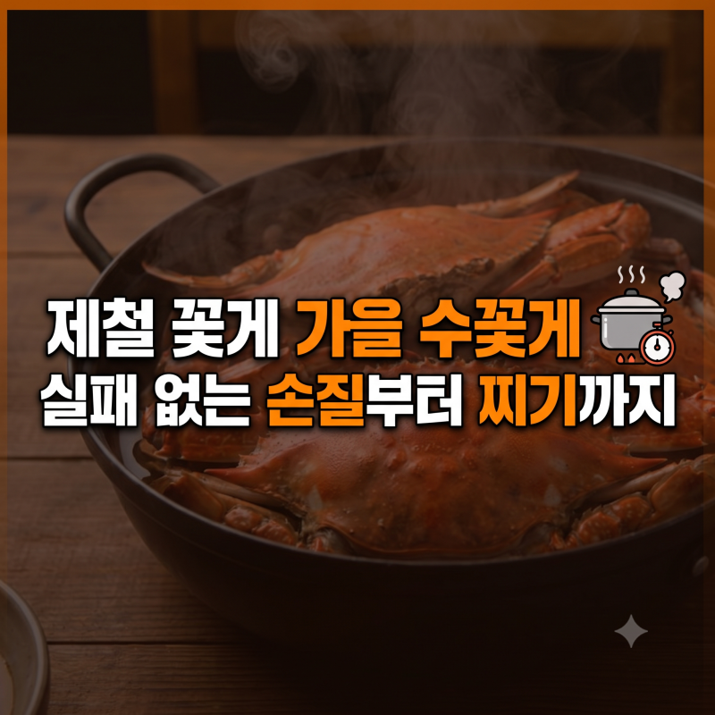 찌기만 해도 맛있다! 제철 가을 꽃게 손질 방법, 찌는 방법, 시간