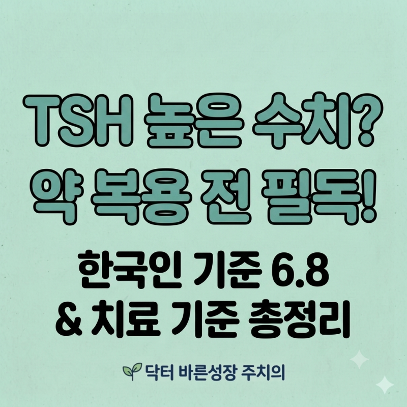 TSH 수치 높음 소견, 바로 약 먹어야 할까? 기준과 치료 기준 정리