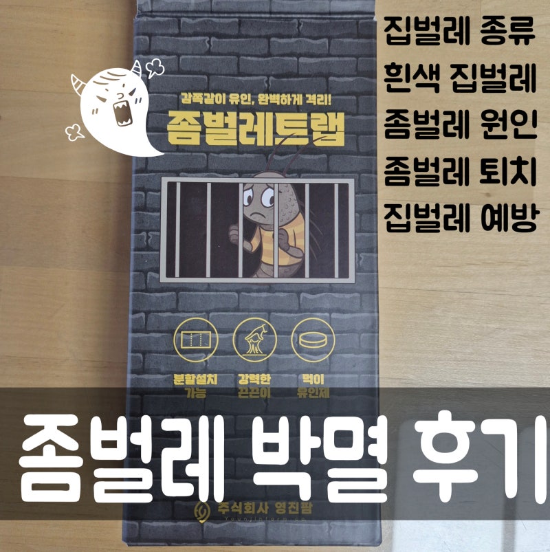 흰색 집벌레 좀벌레 박멸 좀벌레 트랩 후기