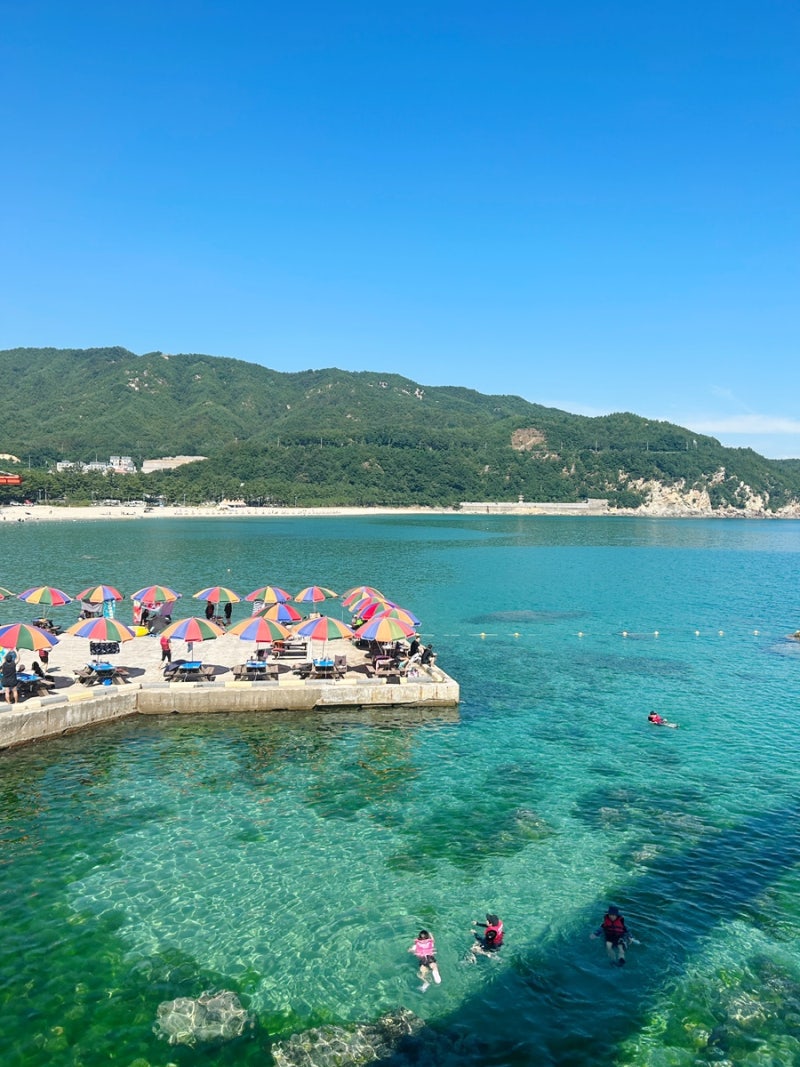삼척 용화 방파제 강원도 스노쿨링 명소 국내 스노쿨링 성지 ＆ 용화 해수욕장 파라솔 대여 8....