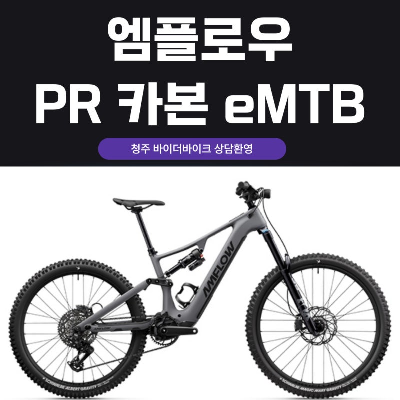 엠플로우 PR Carbon PRO 사전예약중｜AMFLOW 전기산악자전거 청주 바이더바이크 전국 직배송