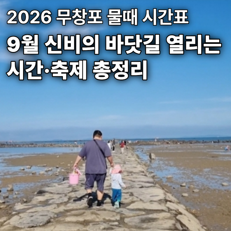 2026 무창포 물때 시간표｜9월 신비의 바닷길 열리는 시간·축제 총정리