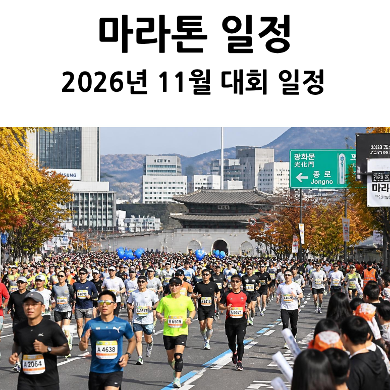 2026년 11월 마라톤 대회 일정 총정리｜전국 5km 10km 하프 풀코스