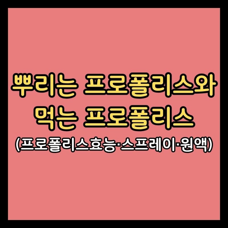 뿌리는 프로폴리스와 먹는 프로폴리스 (프로폴리스효능·스프레이·원액)