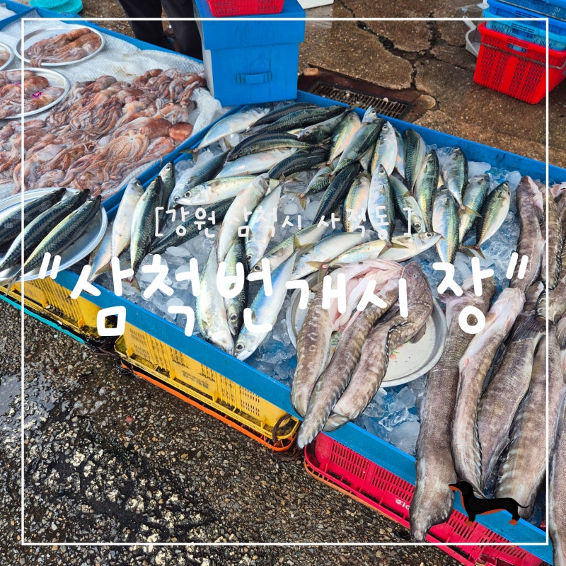 A Must-Visit in Samcheok: My Review of Samcheok Lightning Market and Morning Market