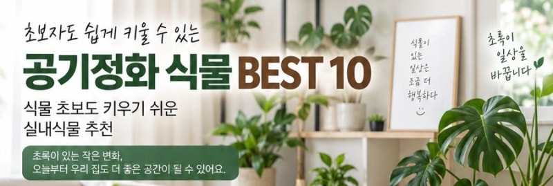 [식물도감]키우기 쉬운 공기정화 식물 BEST 10｜키우기 쉬운 실내식물 추천