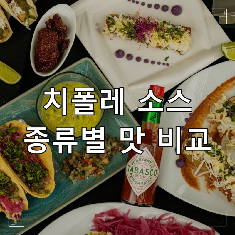 치폴레 소스, 종류별 맛 특징을 모르면 아까운 음식이 됩니다