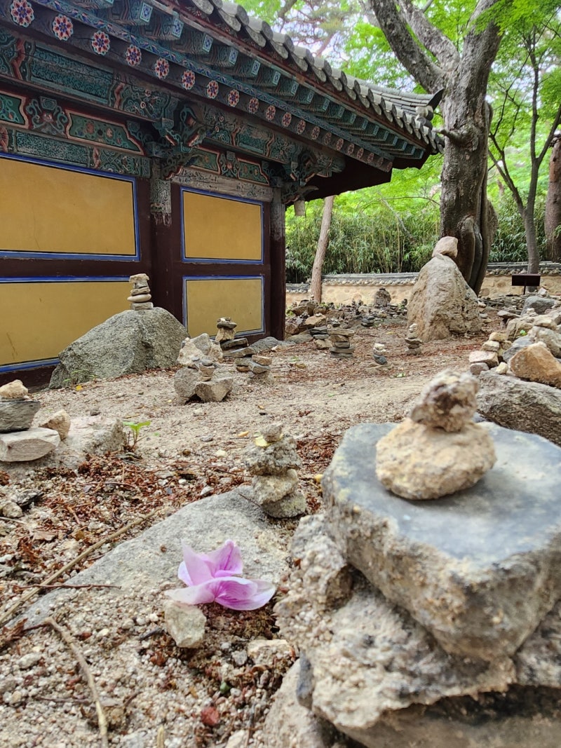 [100대 명산 ⑬] 마이산 등산코스 난이도 총정리 – 탑사와 암마이봉 코스