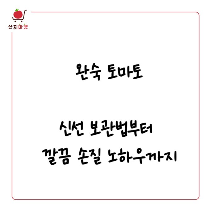 완숙 토마토 신선 보관법부터 깔끔 손질 노하우까지