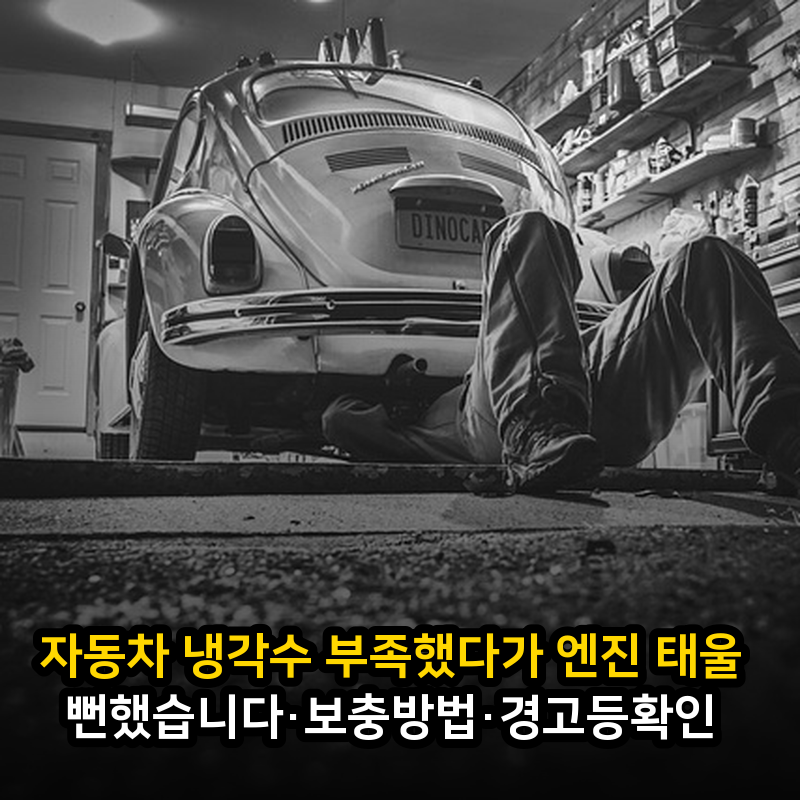 자동차 냉각수 부족했다가 엔진 태울 뻔했습니다·보충방법·경고등확인