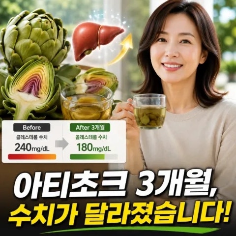 아티초크 효능 간 건강과 콜레스테롤 관리에 효과적이다