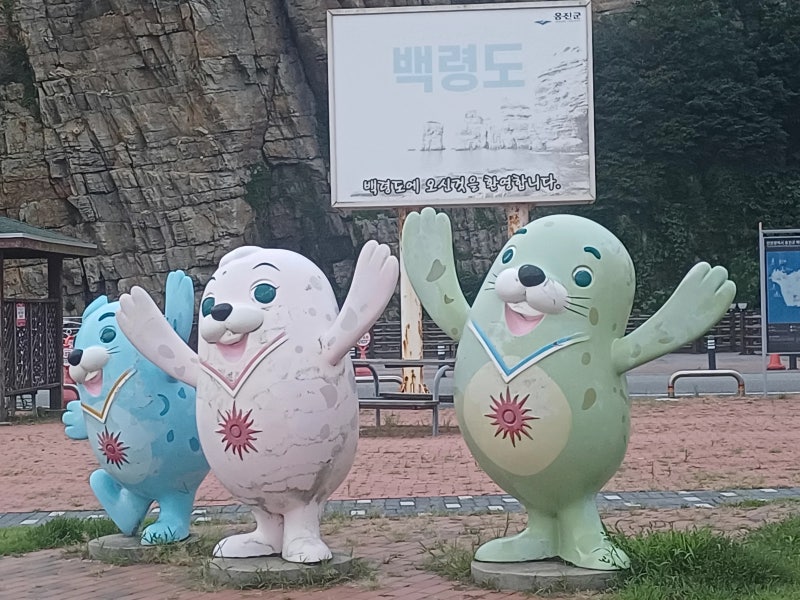 백령도숙박 고민 끝! 자연 속 힐링, 루시아펜션의 매력속으로
