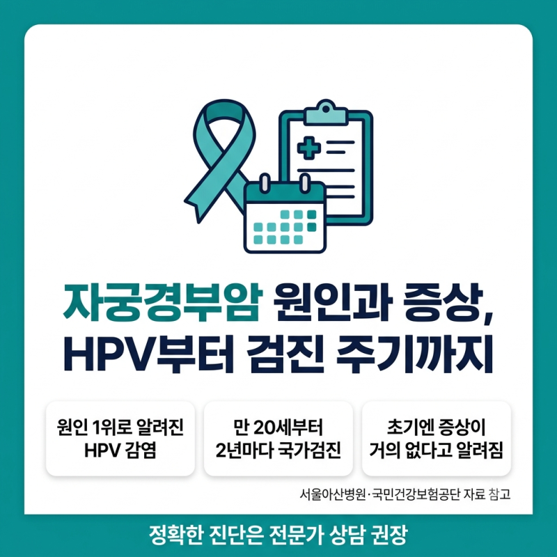 자궁경부암 원인과 증상, HPV부터 검진 주기까지 정리